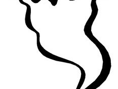 Il y a t-il une élue fantôme ou virtuelle au Conseil régional de la #Guyane ?