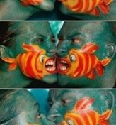 L'image du jour (17 septembre 2013)