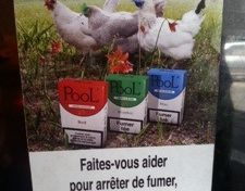 L'image du jour (22 septembre 2013)