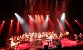 Malavoi ...yes ze canne !!!