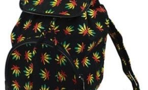 "Mon enfant va à l'école avec de l'herbe dans son cartable..."