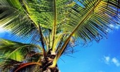 Le Club Med les Boucaniers en #Martinique sommé de rembourser 12 millions d'euros