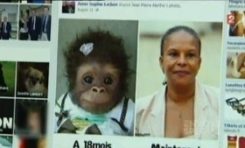 Christiane #Taubira comparée à un singe par une candidate de Front national
