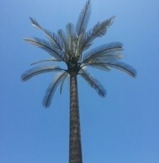 L'image du jour (21 octobre 2013)