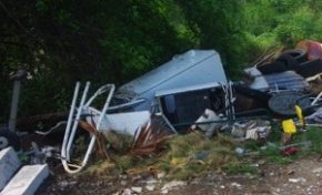 Poubelles en détresse