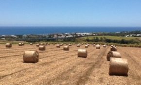 Développement durable dit-on...