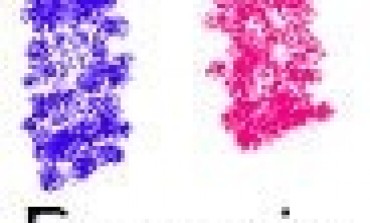 #TAUBIRA : "C'EST UN RACISME PUR ET DUR"