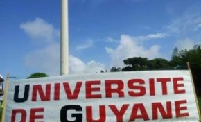 L'image du jour (12 novembre 2013)