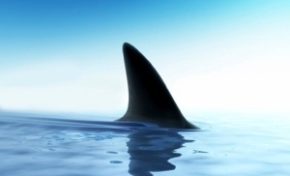 Affaire EXPAY : Où sont passés les  635 645 €  de subvention versés par la Région #Martinique ?