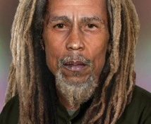 L'image du jour (21 novembre 2013)