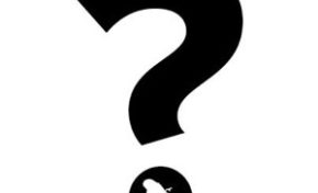 Qui sera le VAVAL 2014 ?