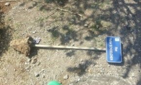 L'image du jour (24 novembre 2013)