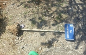 L'image du jour (24 novembre 2013)