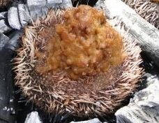 80 € un kilo d'oursins...et moi et moi émoi