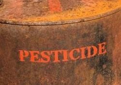 La phrase du jour (29 novembre 2013)