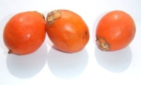 #RCI digère mal le bouillon d'awara en #Guyane