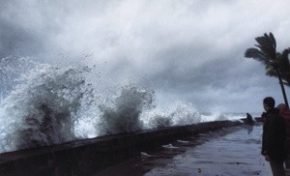 #Béjisa / île de La #Réunion : Les photos chocs