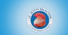 LES VOEUX DU PRESIDENT GROLLANDE, LETCHIMUR... parodie BOBI #2014