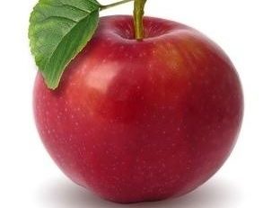 Municipales 2014 en Martinique : Qui ment ...Sergio ou Cathou ?