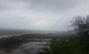 #Béjisa ravage La #Réunion