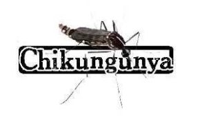 #Dengue/ #Chikungunya : La #Martinique invente la post prévention