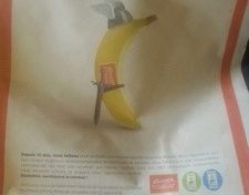 Qui a eu cette idée conne un jour d'mettre du chlordécone...c'est... ces...sacrés Charlemagne