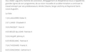 #Municipales 2014 en #Martinique : Cathou rétrograde