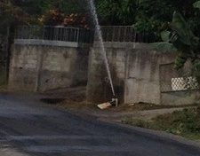 L'image du jour (22 mars 2014)