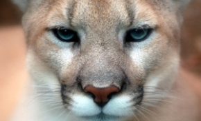 La phrase du jour (25 mars 2014)