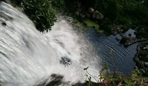 L'image du jour (25 mars 2014)