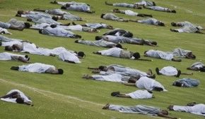 Images du jour (8 avril 2014)