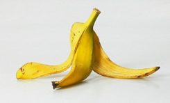 #Epandage et Pau de banane !!