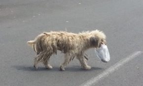 L'image du jour (20 avril 2014)