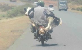 L'image du jour (26 avril 2014)