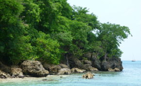 Lettre de Robert Sae à Garcin Malsa