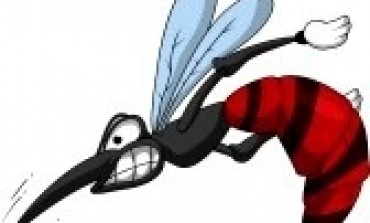 #Chikungunya en #Martinique...Allo non mais allo quoi ?