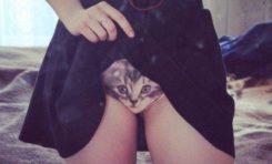 On a retrouvé la culotte de #Catwoman