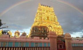 L'image du jour (23 mai 2014)