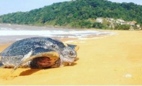 L'image du jour (3 juin 2014)