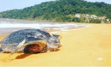 L'image du jour (3 juin 2014)