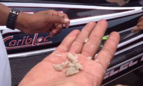 Le jour où un #NOIR a eu raison du #SUCRE