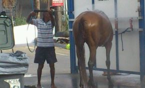 L'image du jour (17 juin 2014)