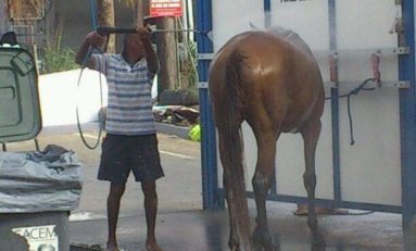 L'image du jour (17 juin 2014)