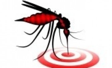 #Chikungunya en #Martinique : 10 % de la population touché par ĺ'épidémie