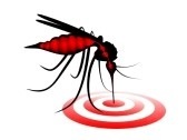 #Chikungunya en #Martinique : 10 % de la population touché par ĺ'épidémie
