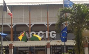 En #Guyane la #CCIG affiche le drapeau guyanais...en #Martinique...LOL