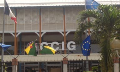 En #Guyane la #CCIG affiche le drapeau guyanais...en #Martinique...LOL