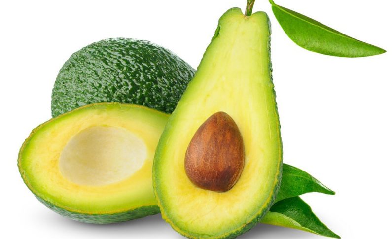 La riposte guacamolesque de la #CEREGMIA TEAM