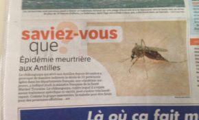 #Tourisme en #Martinique et en #Guadeloupe... Il va falloir sortir les rames