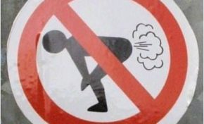 Le #pet c'est bon pour la #santé